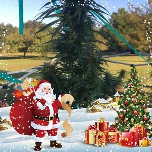 Meet your Posher, Gary